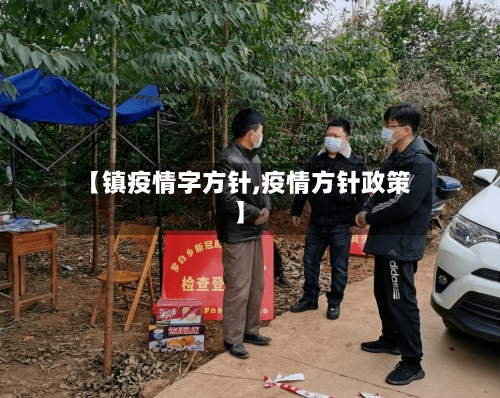 【镇疫情字方针,疫情方针政策】
