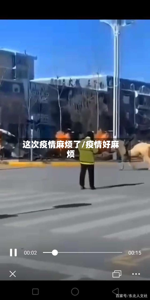 这次疫情麻烦了/疫情好麻烦-第1张图片