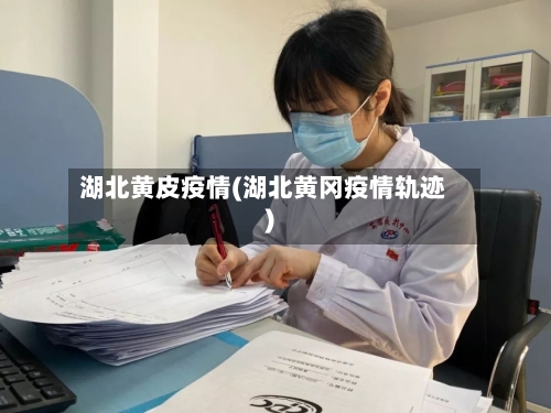 湖北黄皮疫情(湖北黄冈疫情轨迹)-第1张图片