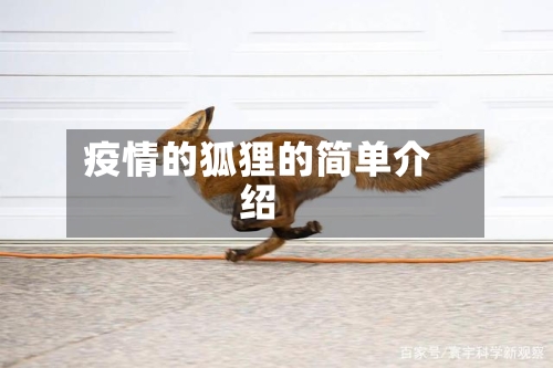 疫情的狐狸的简单介绍-第3张图片
