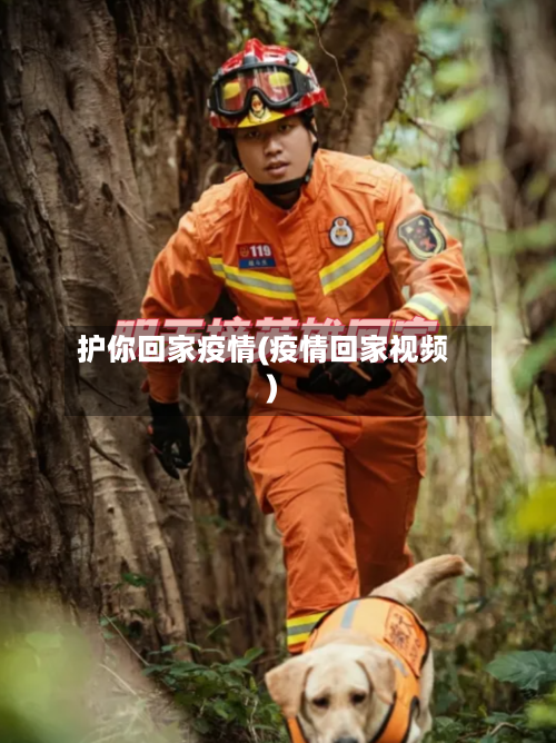 护你回家疫情(疫情回家视频)-第1张图片