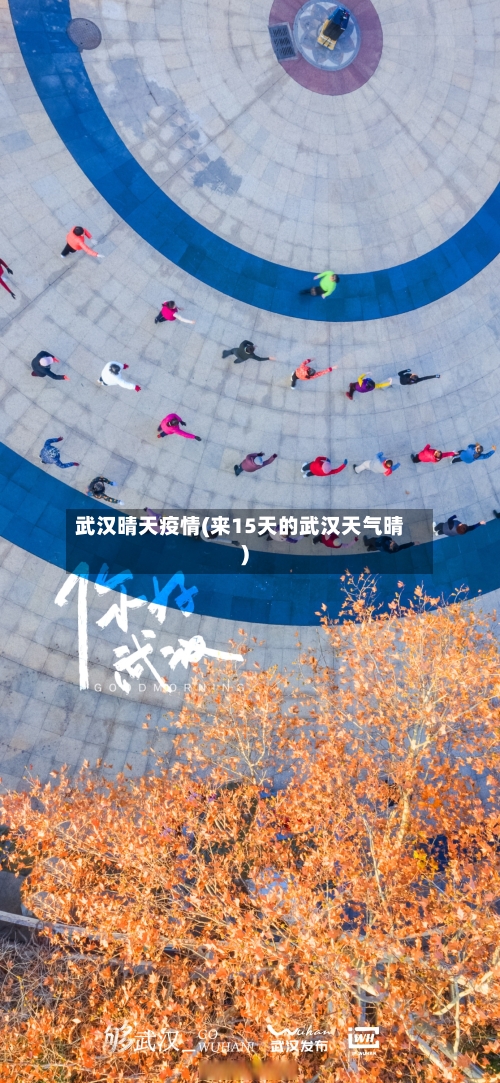 武汉晴天疫情(来15天的武汉天气晴)